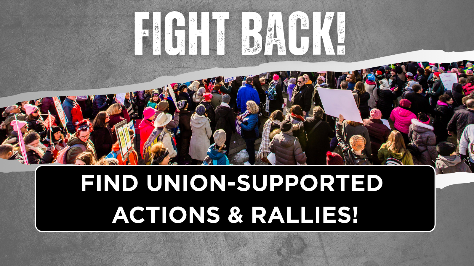Fight Back Logo